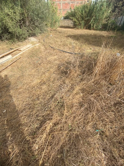 Vente Terrain Alger Reghaia
