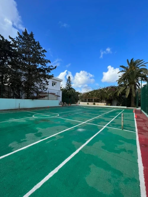 Cherche achat Appartement F8 Alger Alger centre