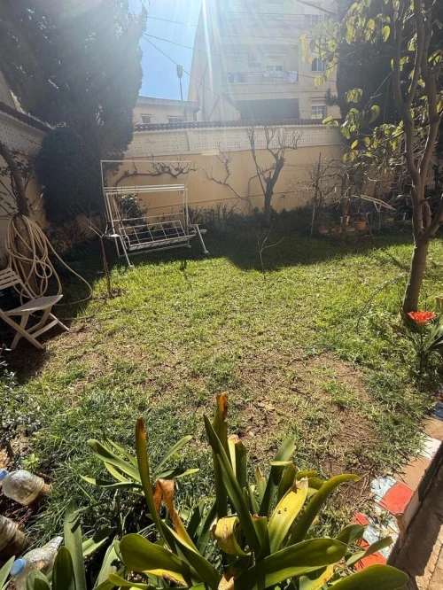 Location Niveau De Villa F5 Alger Dely brahim