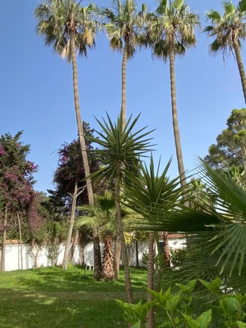 Vente Villa Alger Bir mourad rais