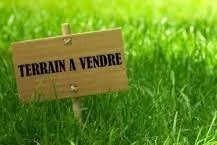 Vente Terrain Alger Souidania