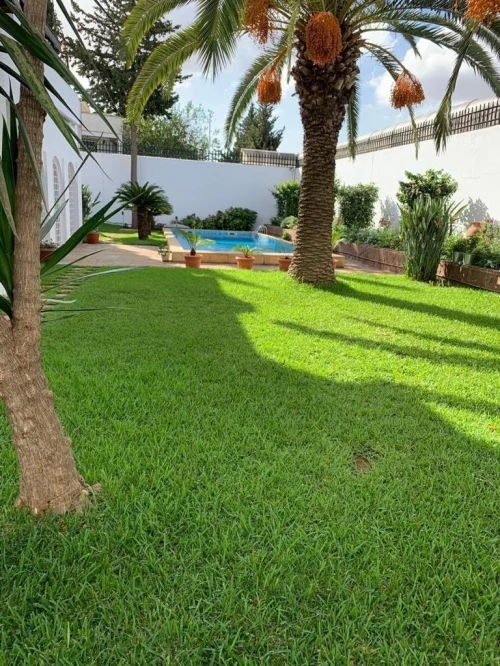 Cherche location Villa Alger Alger centre