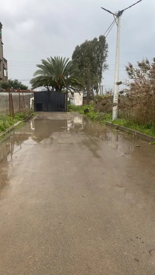 Vente Terrain Alger Douera