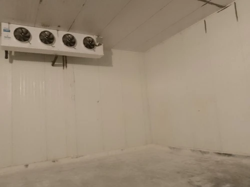 Désinfection des chambres froides 