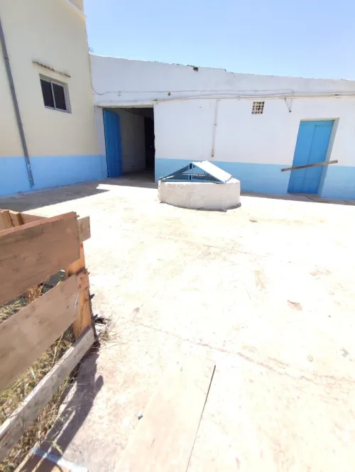 Vente Terrain Mostaganem Mesra