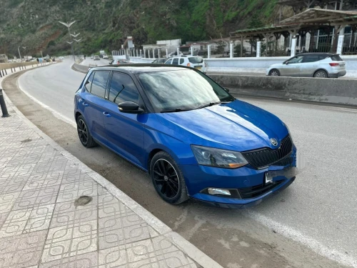 Skoda Fabia 2018 Monte Carlo