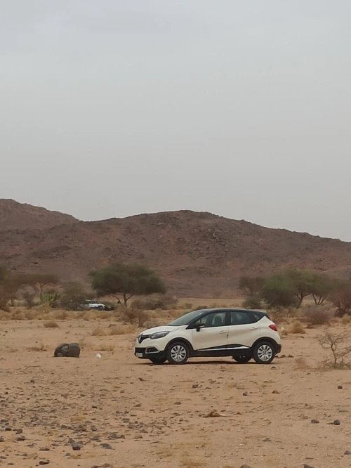 Renault Captur 2013 Luxe