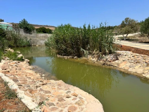Vente Terrain Agricole Oran Ain el kerma