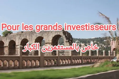 Vente Terrain Constantine Constantine