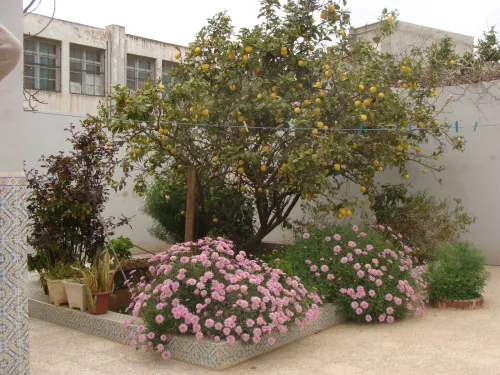 Vente Appartement F3 Oran Oran