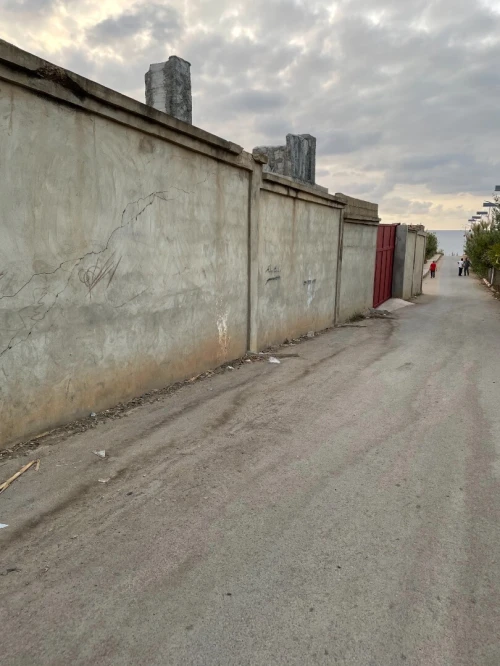 Location Hangar - Usine Tipaza Bou haroun