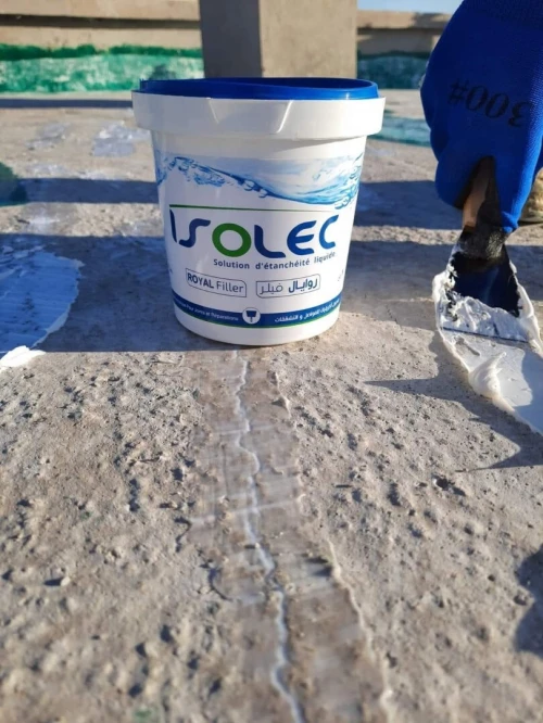 Mastic Acrylique pour joint et fissures ROYAL FILLER