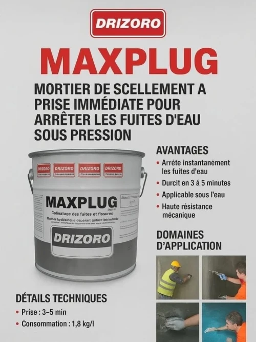 MAXPLUG Mortier prise rapide