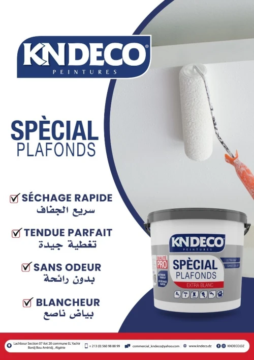 Peinture Acrylique Intérieur et Extérieur (KNDECO, TERRACO, SILKCOAT)