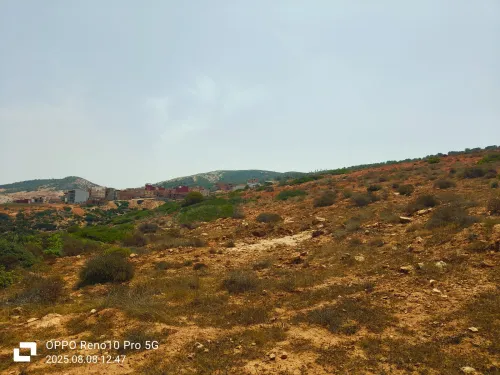 Vente Terrain Tlemcen Honaine