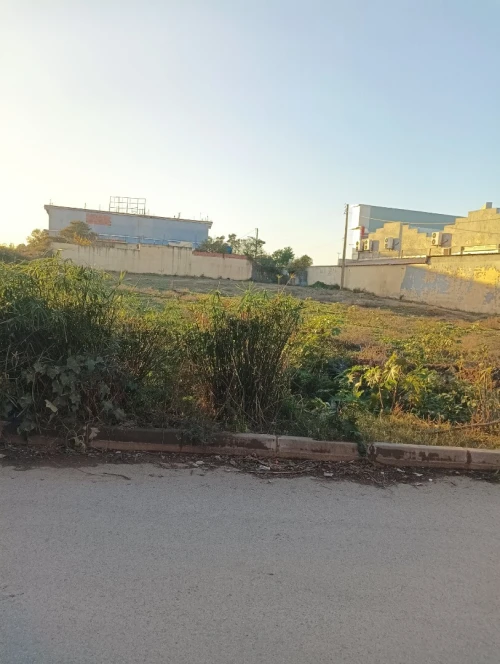 Vente Terrain Blida Beni mered