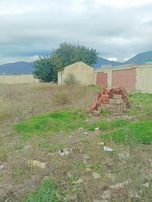 Vente Terrain Blida Mouzaia