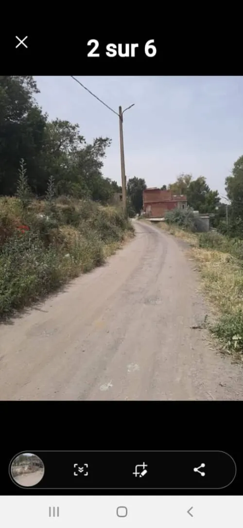 Vente Terrain Blida El affroun