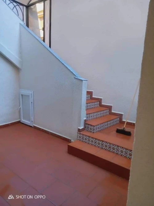 peintre,  ( 17 ans expérience,  )