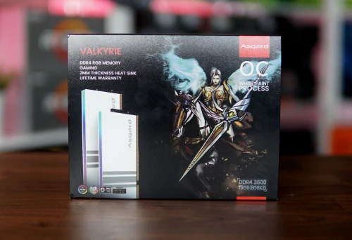 Ram ASGARD VALKYRIE