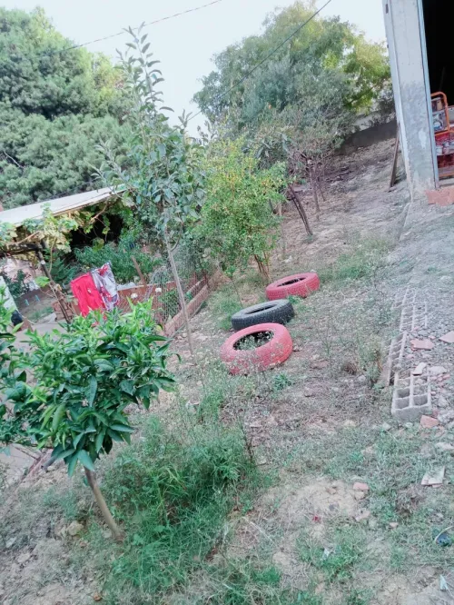 Vente Villa Alger Saoula