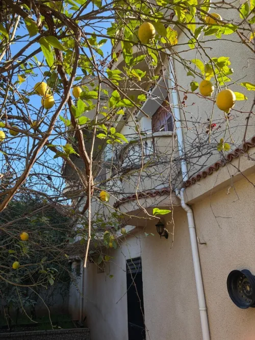 Vente Villa Alger Ouled chebel