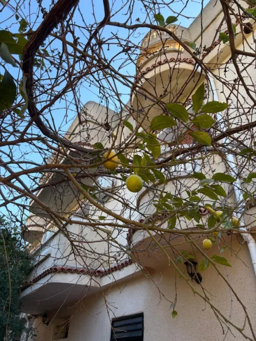 Vente Villa Alger Ouled chebel
