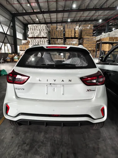 Livan X3 Pro  2026 La toute option