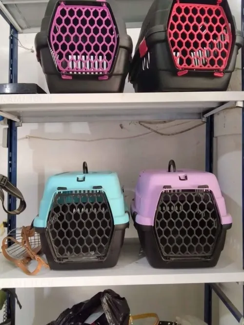 cage transport 