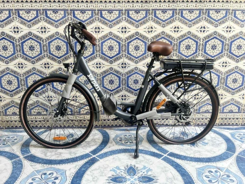 Vélo électrique 