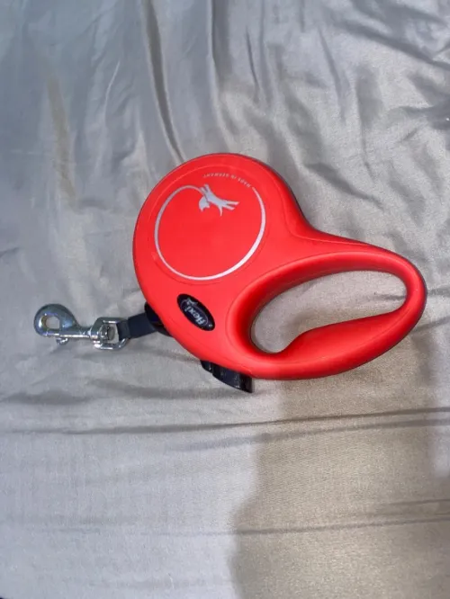 Laisse Chien Enrouleur pour chien +50kg