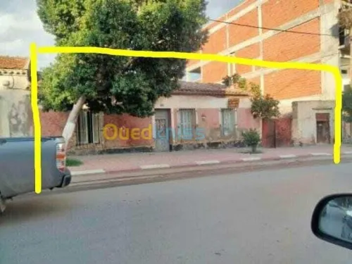 Vente Villa Guelma Belkheir