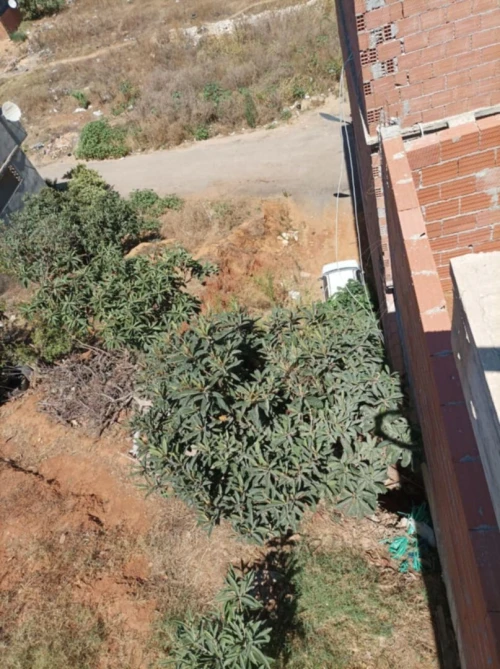 Vente Terrain Alger Khraissia