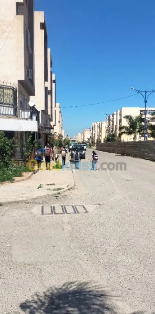 Vente Local Alger Les eucalyptus