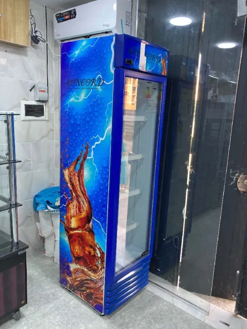 Vente Local Alger Les eucalyptus