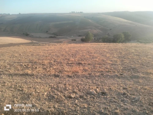 Vente Terrain Tlemcen Bensekrane