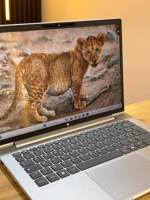 HP PROBOOk 445 G11 RYZEN5 7535U 16GB 256 SSD ECRAN 14"FHD