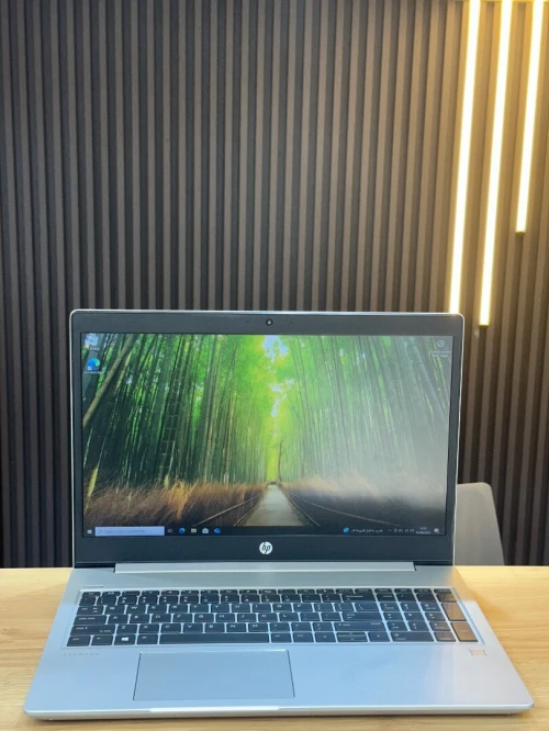 HP PROBOOK 450 G7_I5-10210U_16GB RAM_256GB SSD_15"FULL_HD
