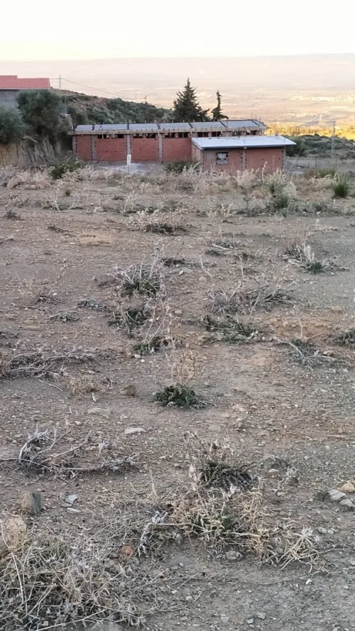 Vente Terrain Blida Ain romana