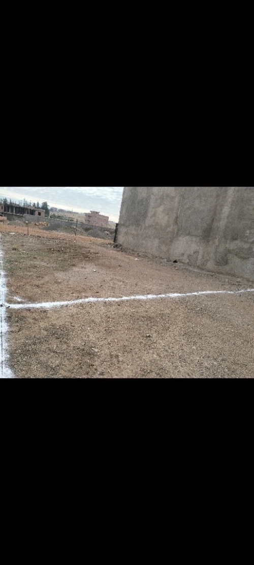 Vente Terrain Aïn Defla El attaf