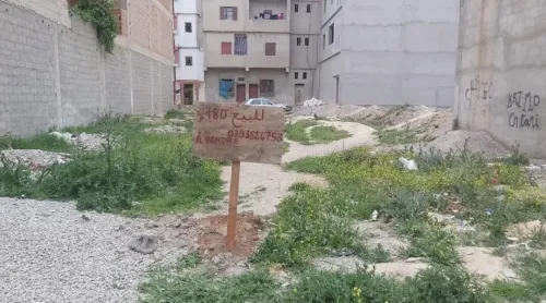 Vente Terrain Mila Telerghma