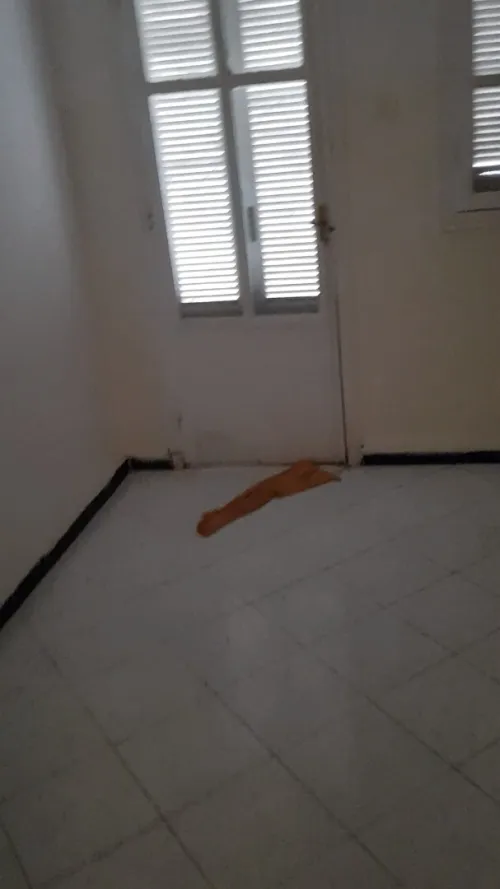 Vente Appartement F3 Alger Mohammadia