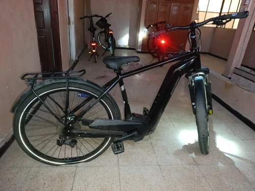 Velo bosch electrique
