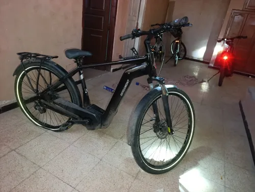 Velo bosch electrique