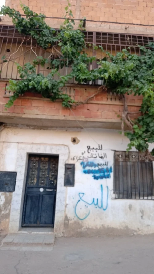 Vente Villa Tiaret Frenda