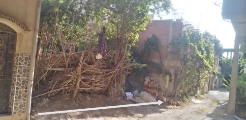 Vente Terrain Alger Tessala el merdja