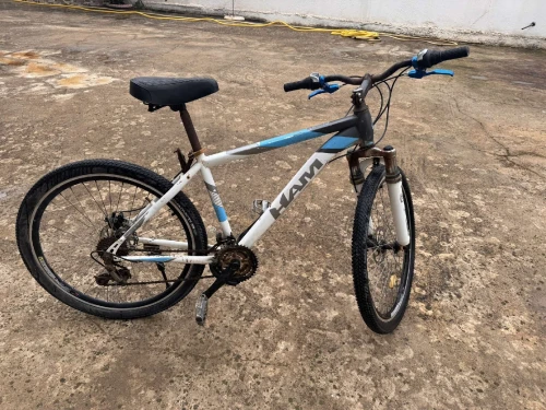 Vélo HAM 24 puce 