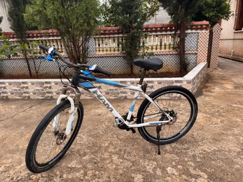 Vélo HAM 24 puce 