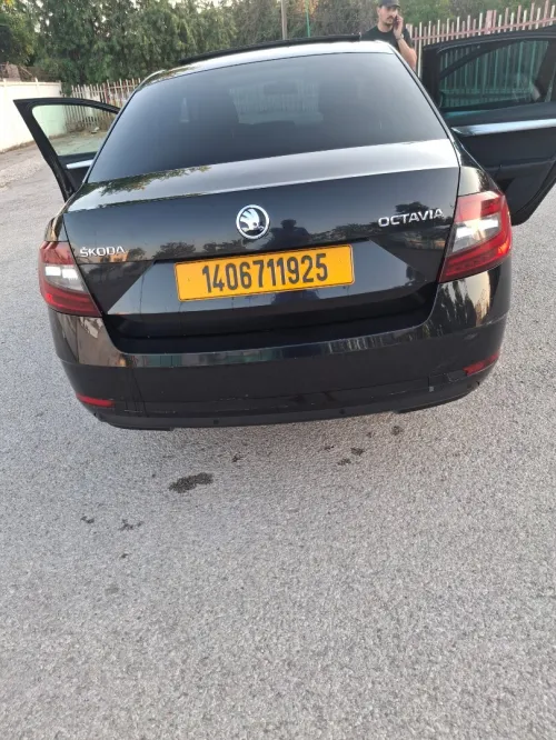 Skoda Octavia 2019 Clever
