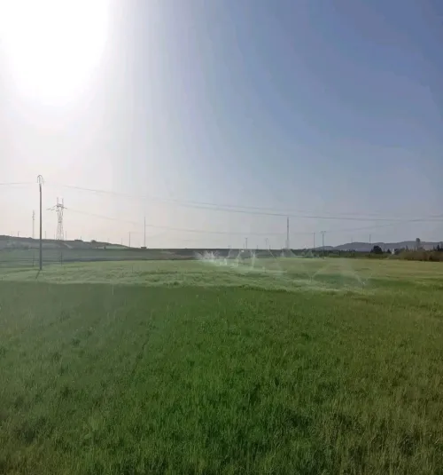 Vente Terrain Agricole Djelfa Tadmit